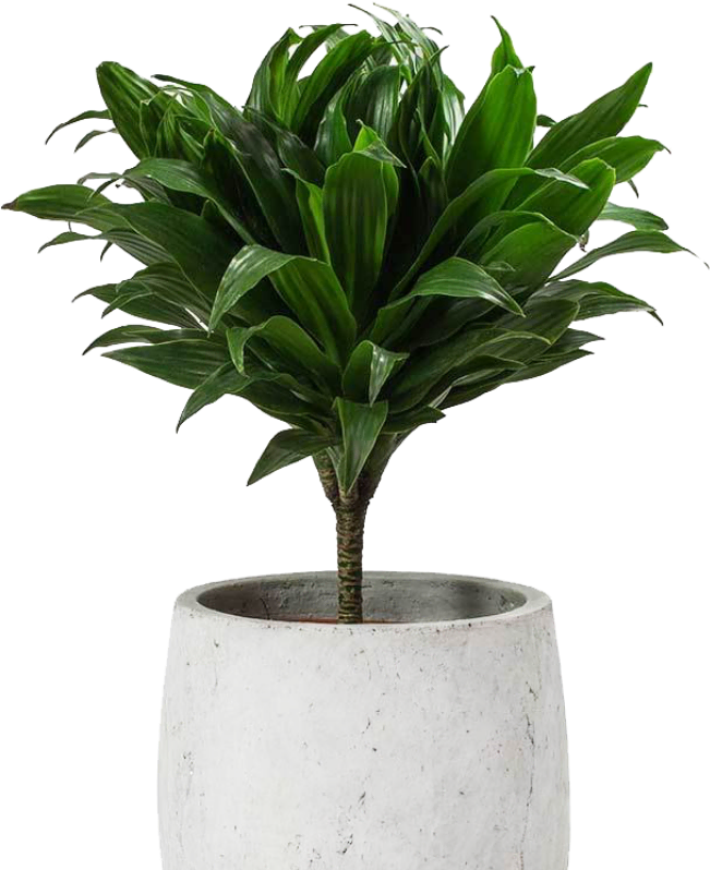 Contact Form Image Optimized 1