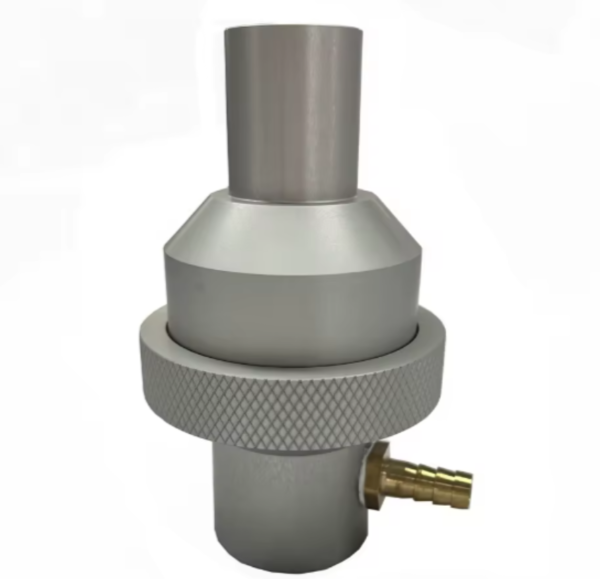 fringilla urna fringilla urna