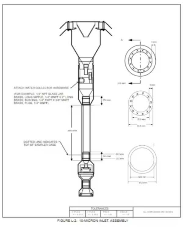 fringilla urna fringilla urna